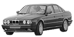 BMW E34 C1972 Fault Code